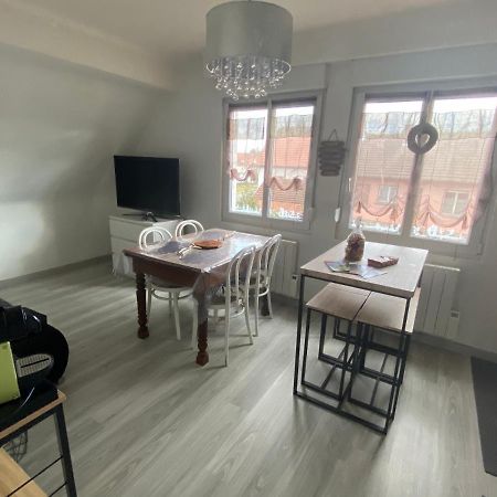 Au Paradis D'Alsace 55 M2 Nature & Relax Ingwiller Екстериор снимка