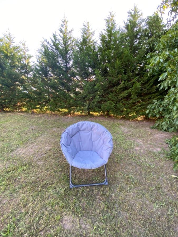 Au Paradis D'Alsace 55 M2 Nature & Relax Ingwiller Екстериор снимка