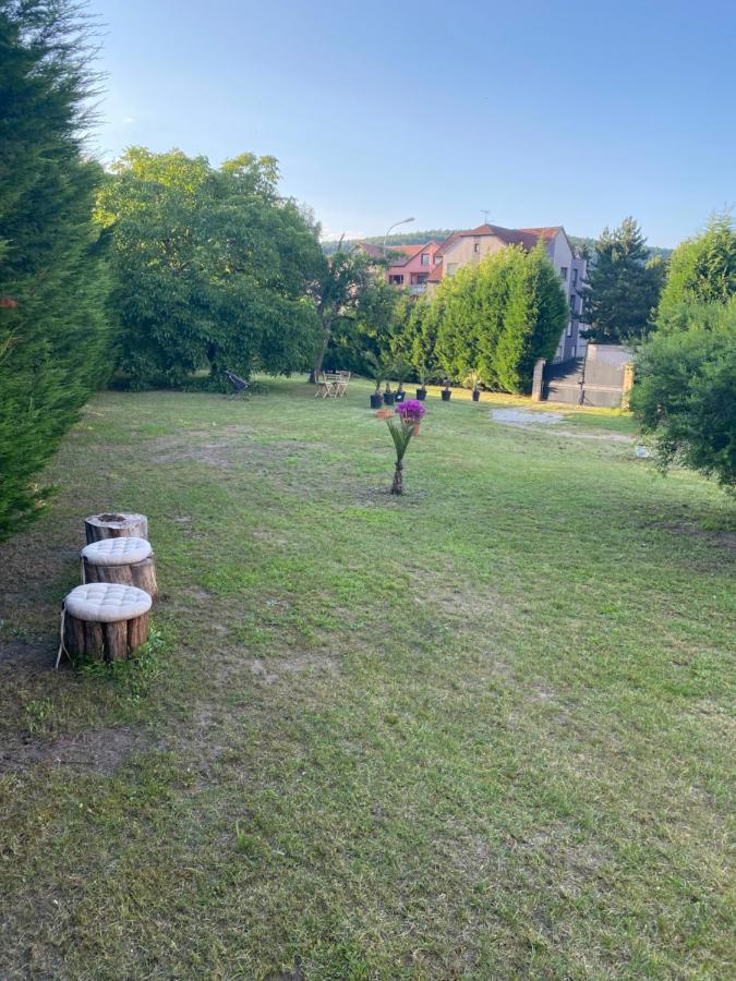Au Paradis D'Alsace 55 M2 Nature & Relax Ingwiller Екстериор снимка