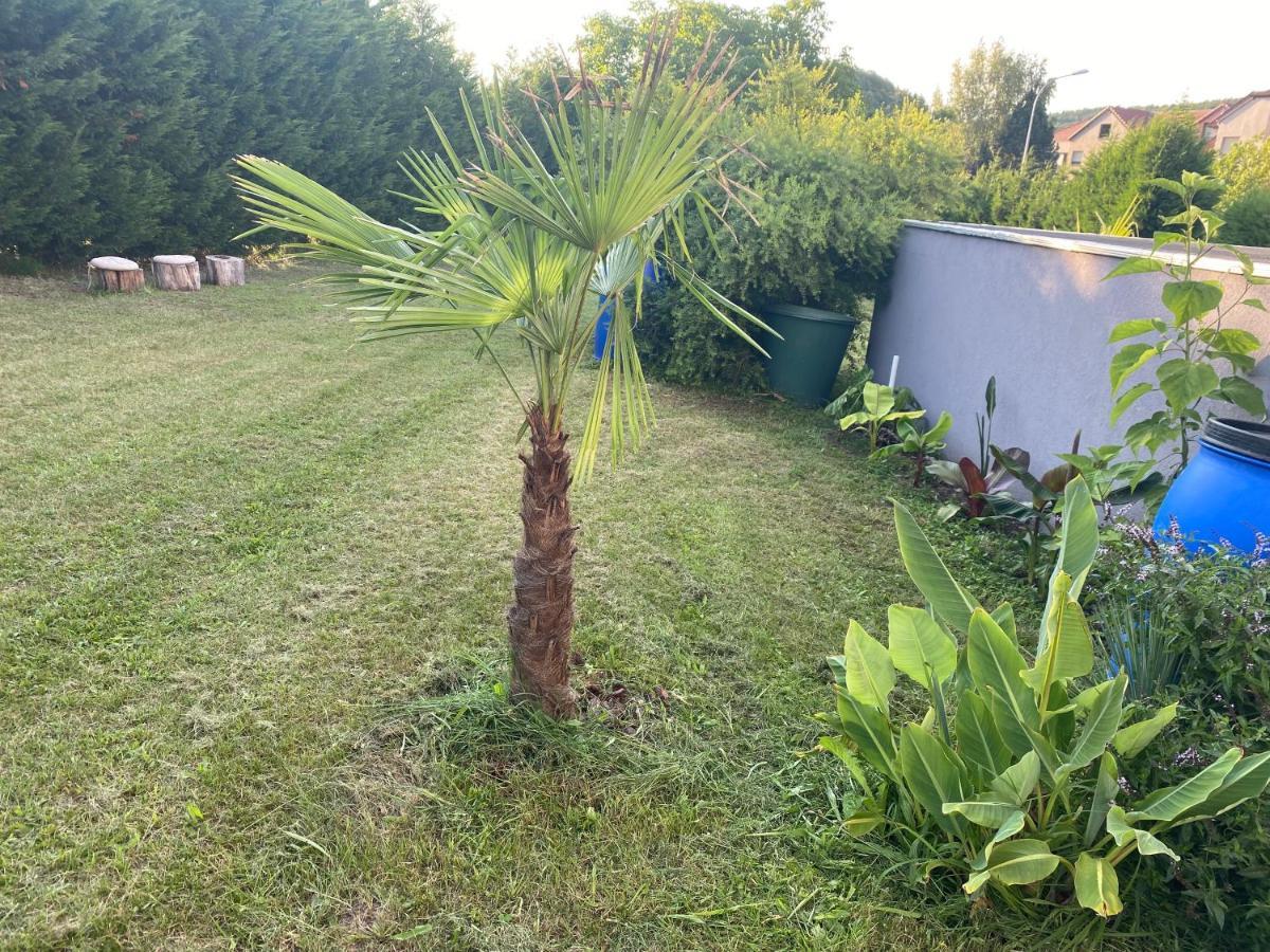 Au Paradis D'Alsace 55 M2 Nature & Relax Ingwiller Екстериор снимка