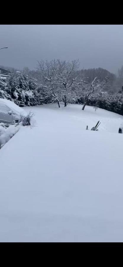 Au Paradis D'Alsace 55 M2 Nature & Relax Ingwiller Екстериор снимка