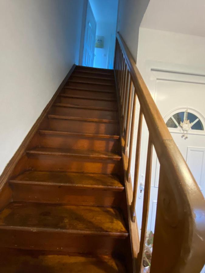 Au Paradis D'Alsace 55 M2 Nature & Relax Ingwiller Екстериор снимка