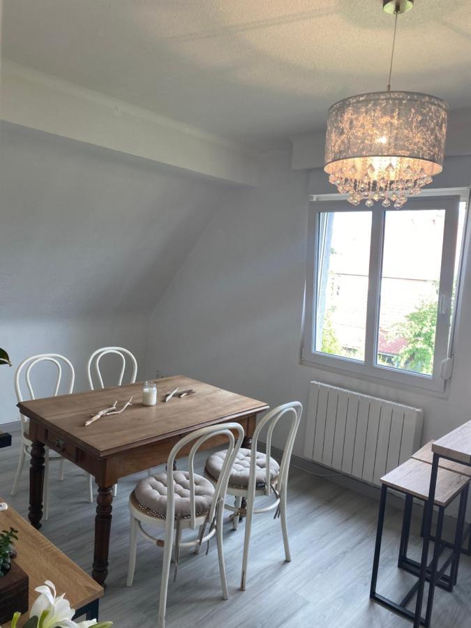 Au Paradis D'Alsace 55 M2 Nature & Relax Ingwiller Екстериор снимка