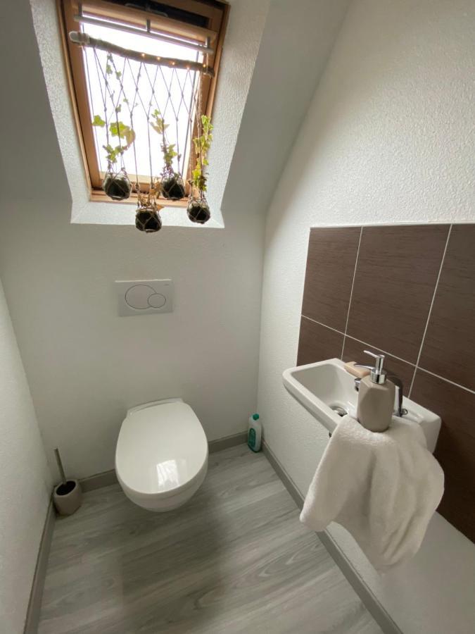 Au Paradis D'Alsace 55 M2 Nature & Relax Ingwiller Екстериор снимка