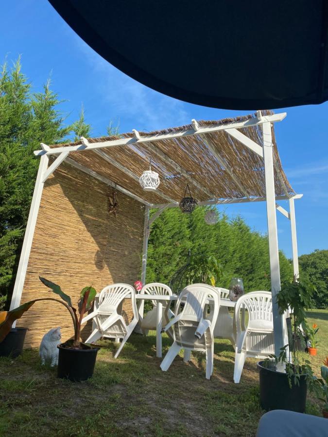 Au Paradis D'Alsace 55 M2 Nature & Relax Ingwiller Екстериор снимка