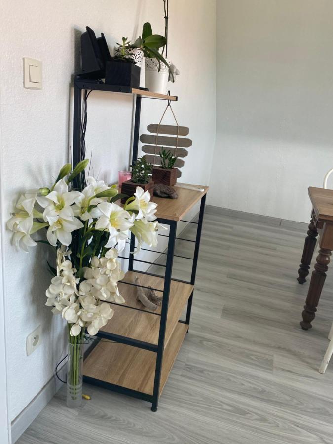 Au Paradis D'Alsace 55 M2 Nature & Relax Ingwiller Екстериор снимка