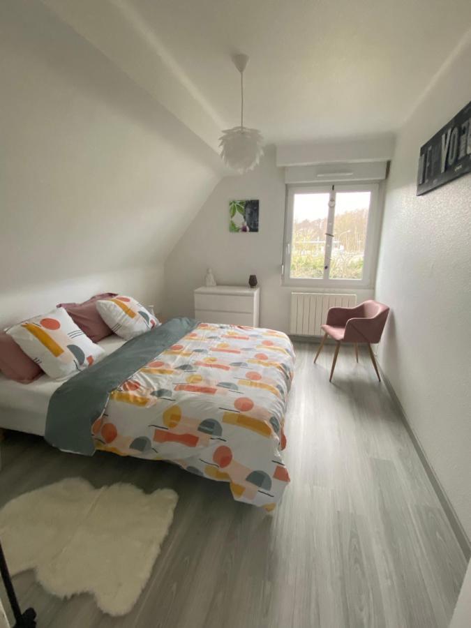 Au Paradis D'Alsace 55 M2 Nature & Relax Ingwiller Екстериор снимка